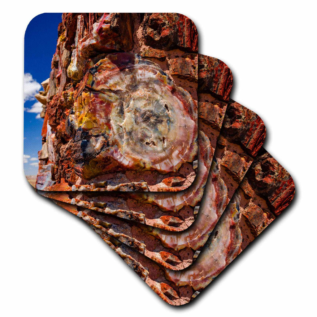 3dRose Agate House, Petrified Forest NP, Arizona, USA. - Coasters (CST_331054)