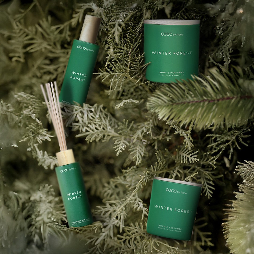 5oz Smells Like A Winter Forest Reed Diffuser