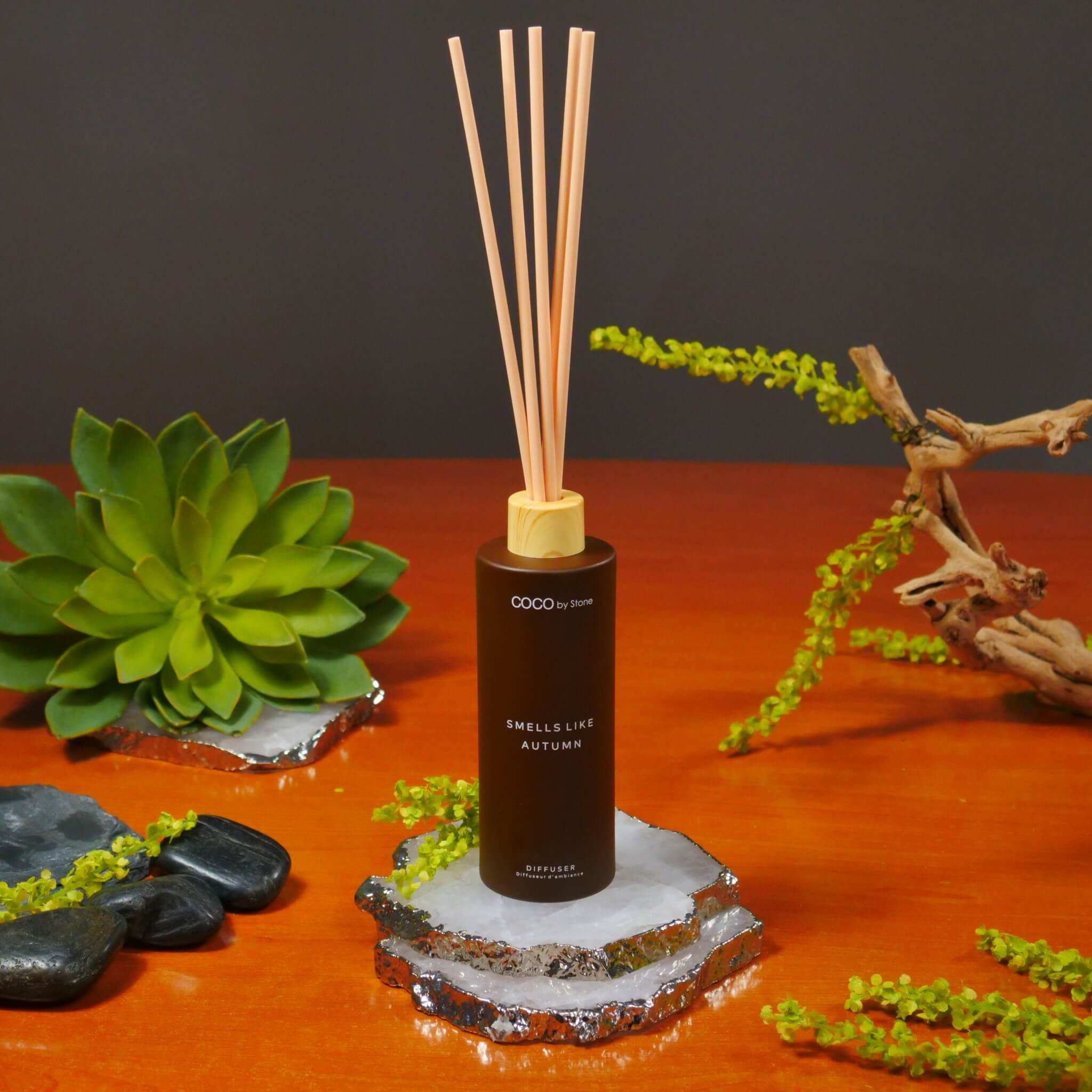 5oz Smells Like Autumn Reed Diffuser