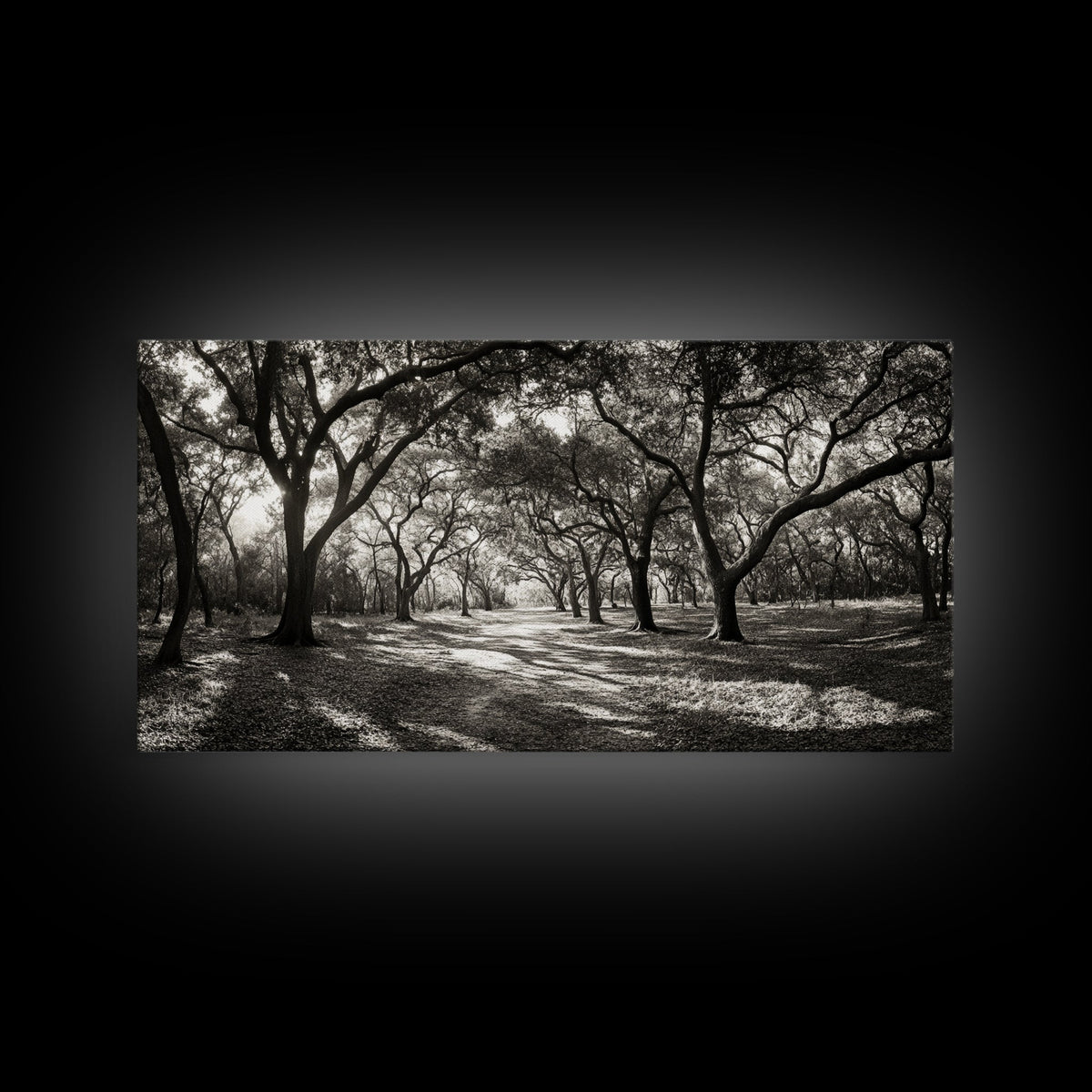Oak Tree Path, Autumn Forest Glow, Nature Trail Photography, Framed Canvas Print, Hallway Wall Art, Earthy Decor, Woodland Art | | Wiccan Center