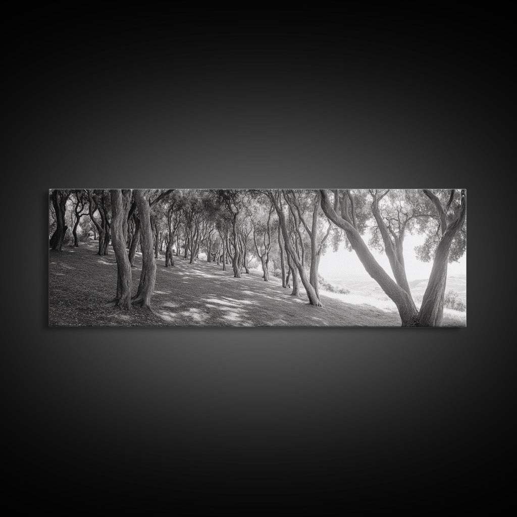 Forest Path, Tree Tunnel, Light Shadows, Woodland Magic, Framed Canvas Print, Nature Lover Gift, Entryway Wall Art, Modern Rustic Style