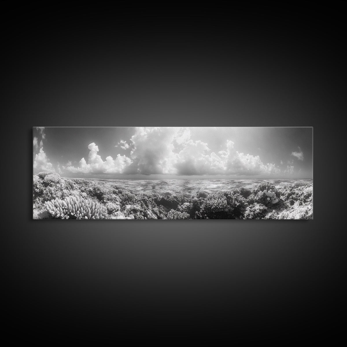 Coral Reef, Ocean Horizon, Cloudscape, Canvas Print, Underwater Nature Photography, Bathroom Wall Art, Marine Coastal Decor | | Wiccan Center