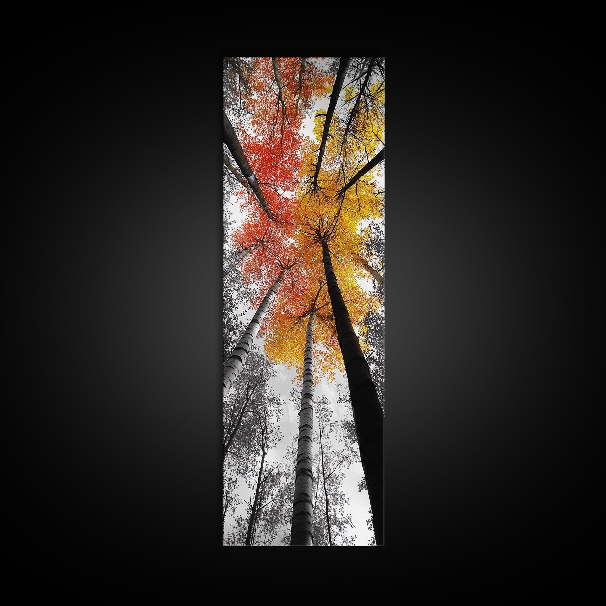 Autumn Trees, Birch Forest, Fall Canopy Print, Nature Photography, Canvas Print, Living Room Decor, Color Pop Wall Art, Forest Magic