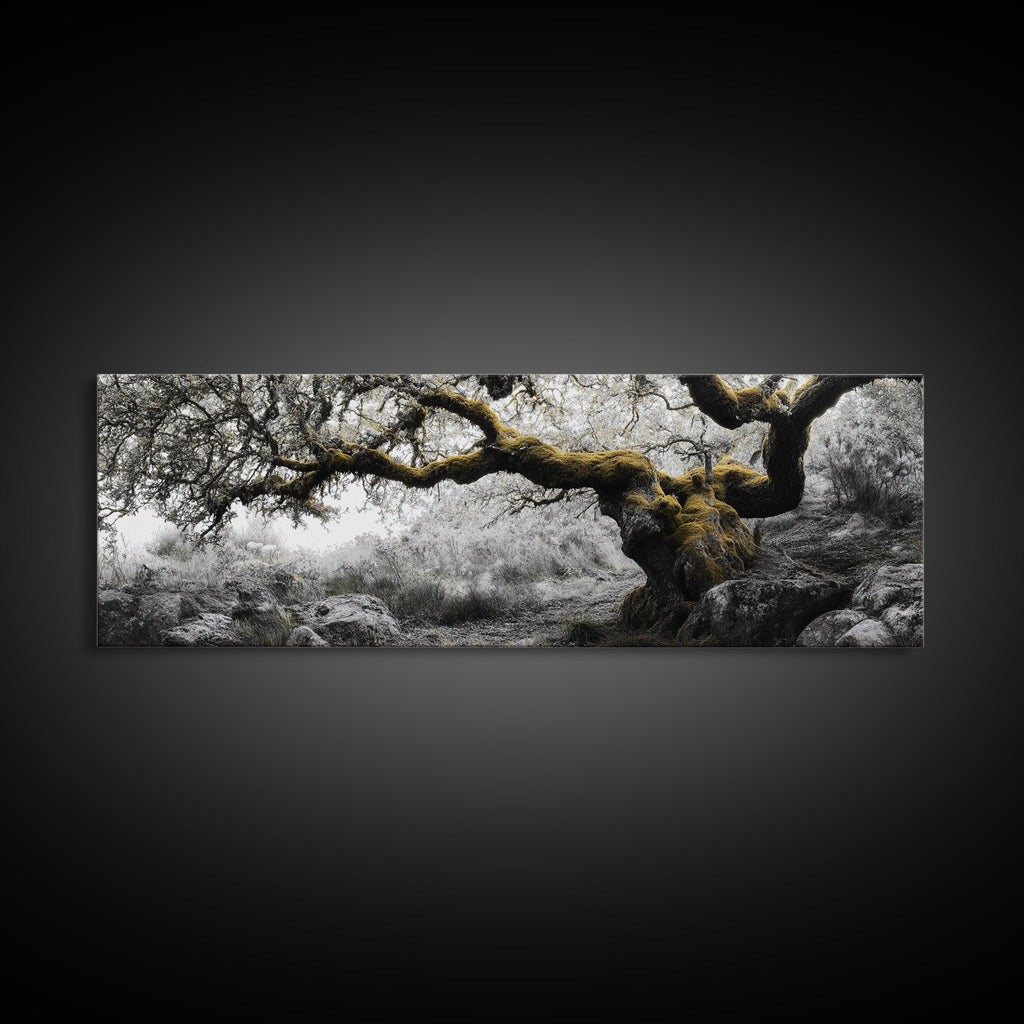 Twisted Oak, Mossy Branches, Forest Giant, Canvas Print, enchanted woodland art, fantasy living room decor, fairytale vibe | | Wiccan Center