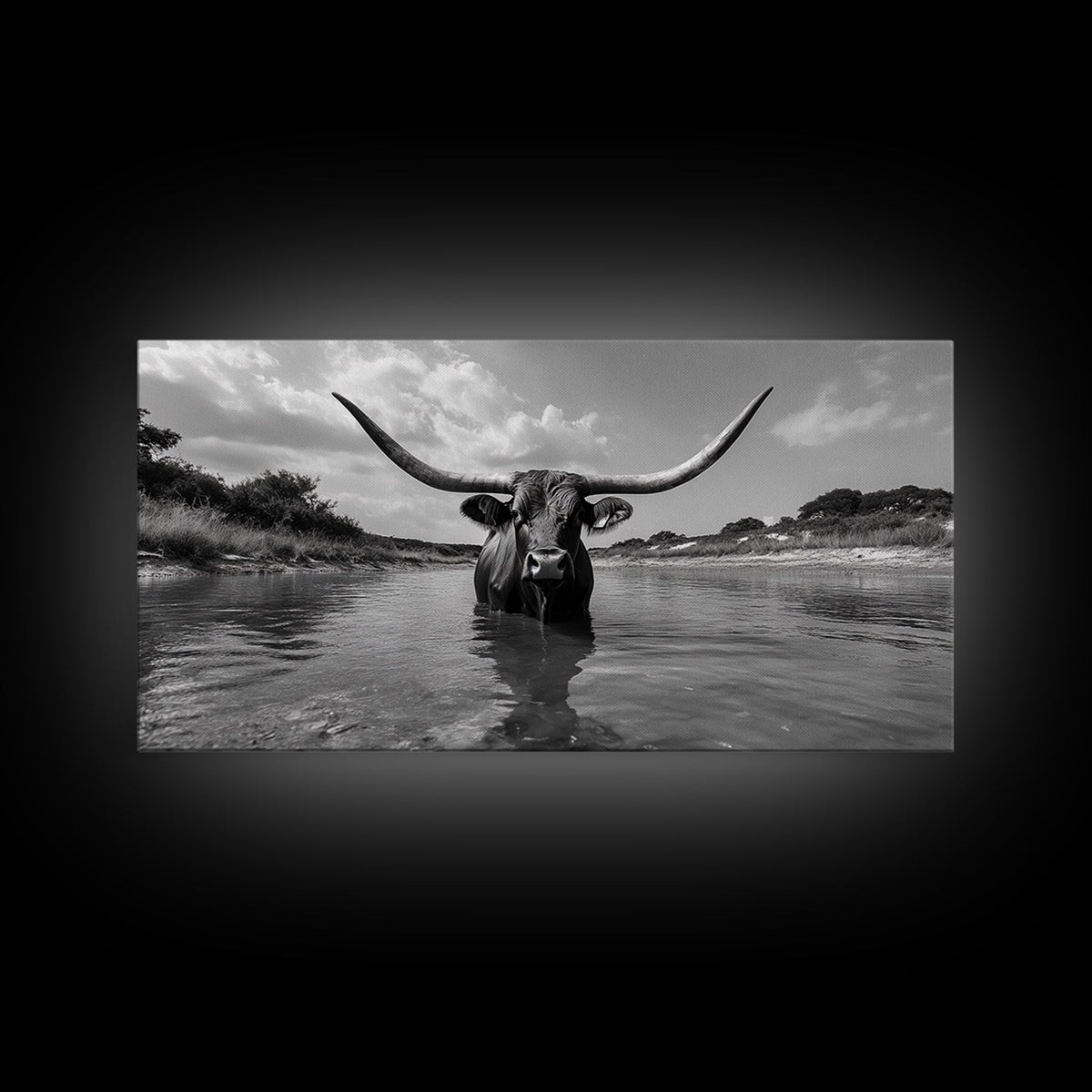 Longhorn in Water, rustic art, western decor, bull and bear art, cowboy wall art, farmhouse art, panoramic art, Framed Canvas Print