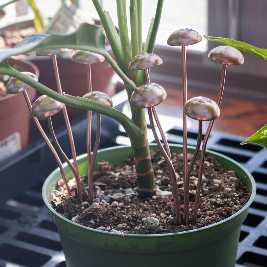 Copper Mushroom Plant Decor | Decor | Wiccan Center