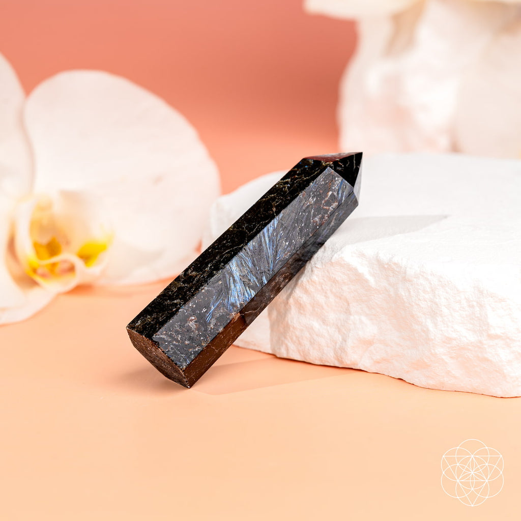 This Is Your Breakthrough – Rare Arfvedsonite Point | Home Decoration | Wiccan Center