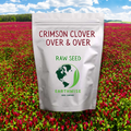 Crimson Clover, Over & Over (Trifolium Incarnatum) Seed | | Wiccan Center