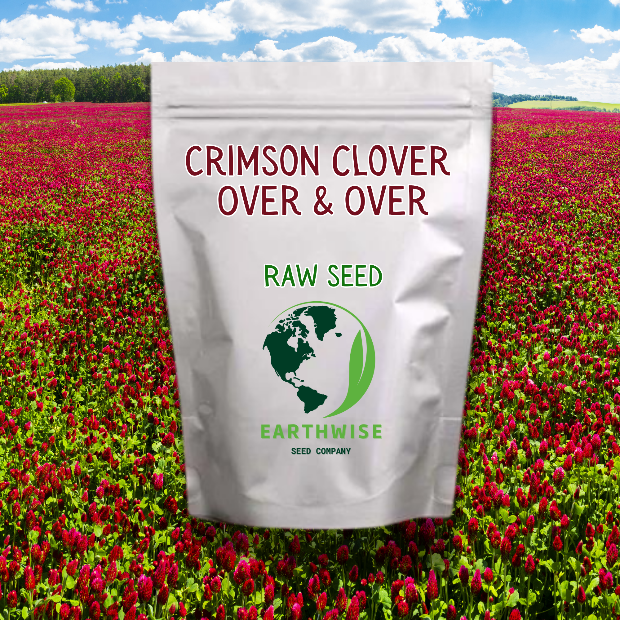 Crimson Clover, Over & Over (Trifolium Incarnatum) Seed | | Wiccan Center