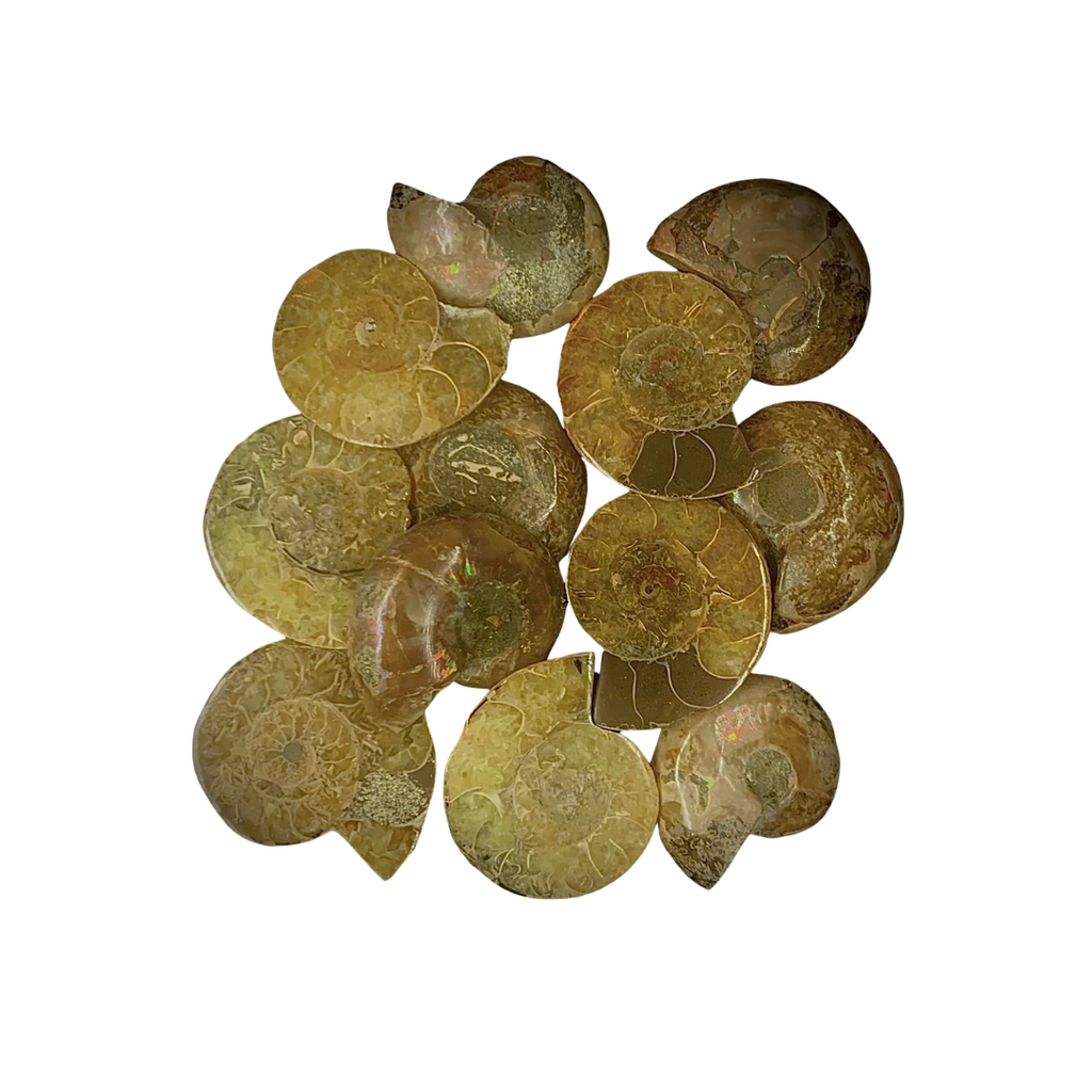 Abundance & Success Crystal Lover's Advent Calendar | Crystal Advent Calendar | Wiccan Center
