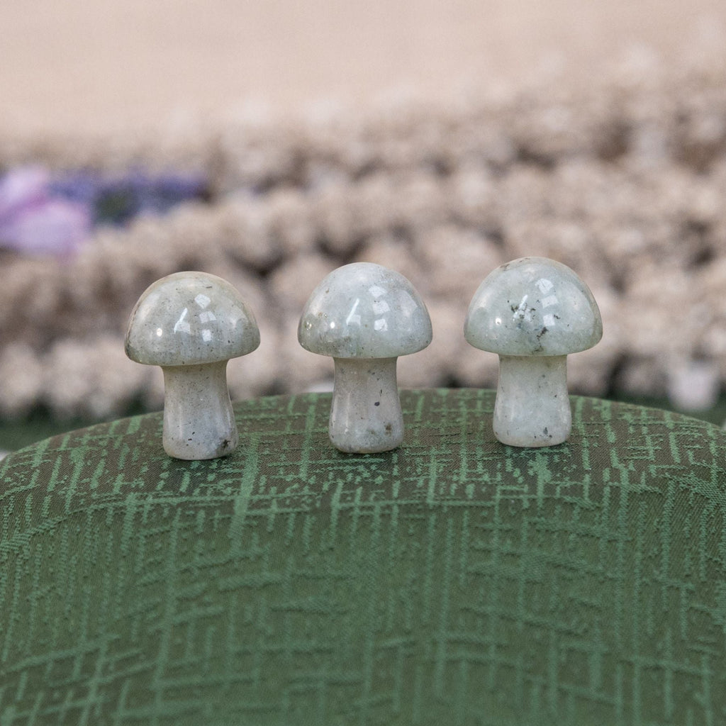 Crystal Mushroom | | Wiccan Center