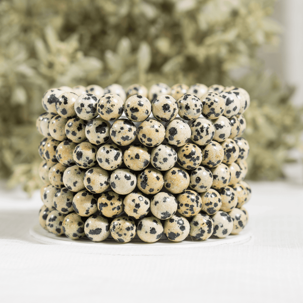 Dalmatian Jasper Bracelet(Altruism and Past Life Recall) | Bracelets | Wiccan Center