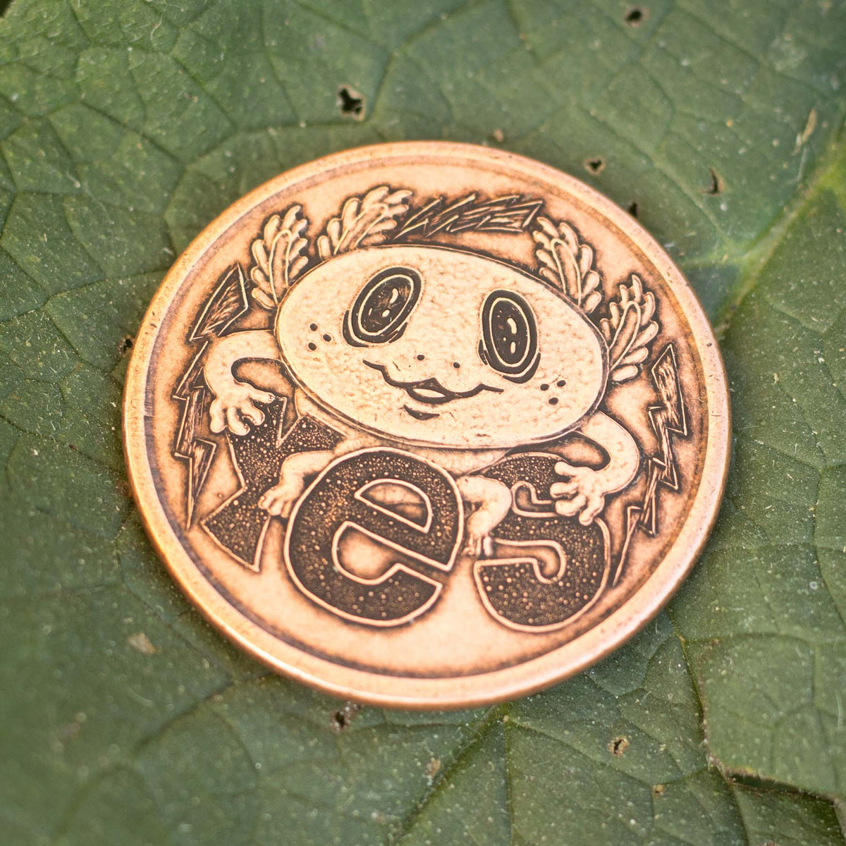 Axolotl Decision Maker Coin in Solid Copper