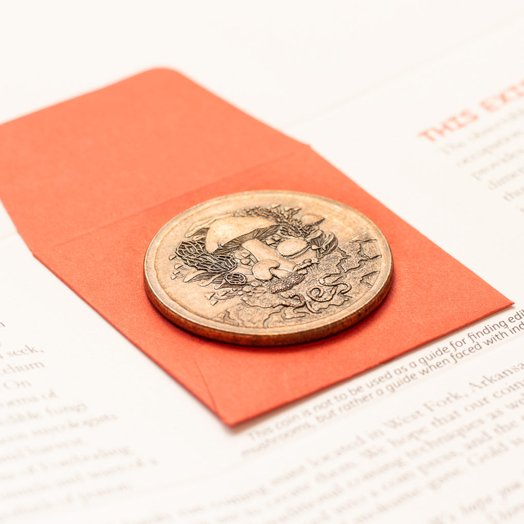 Fungible Token Decision Maker Coin in Solid Copper | Artwork | Wiccan Center