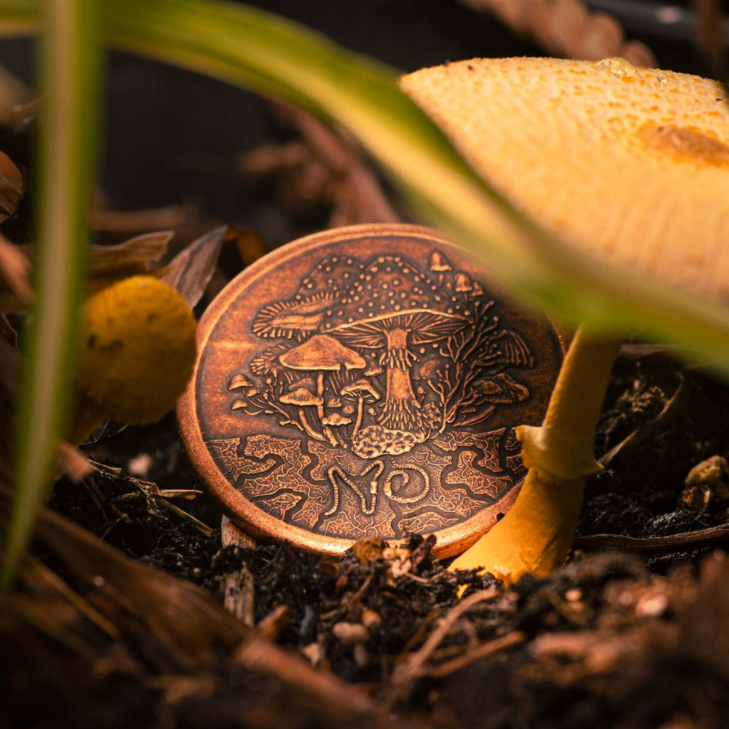 Fungible Token Decision Maker Coin in Solid Copper | Artwork | Wiccan Center