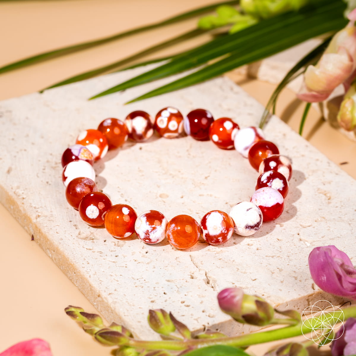 Feminine Force – Carnelian Orca Agate Bracelet | Bracelet | Wiccan Center