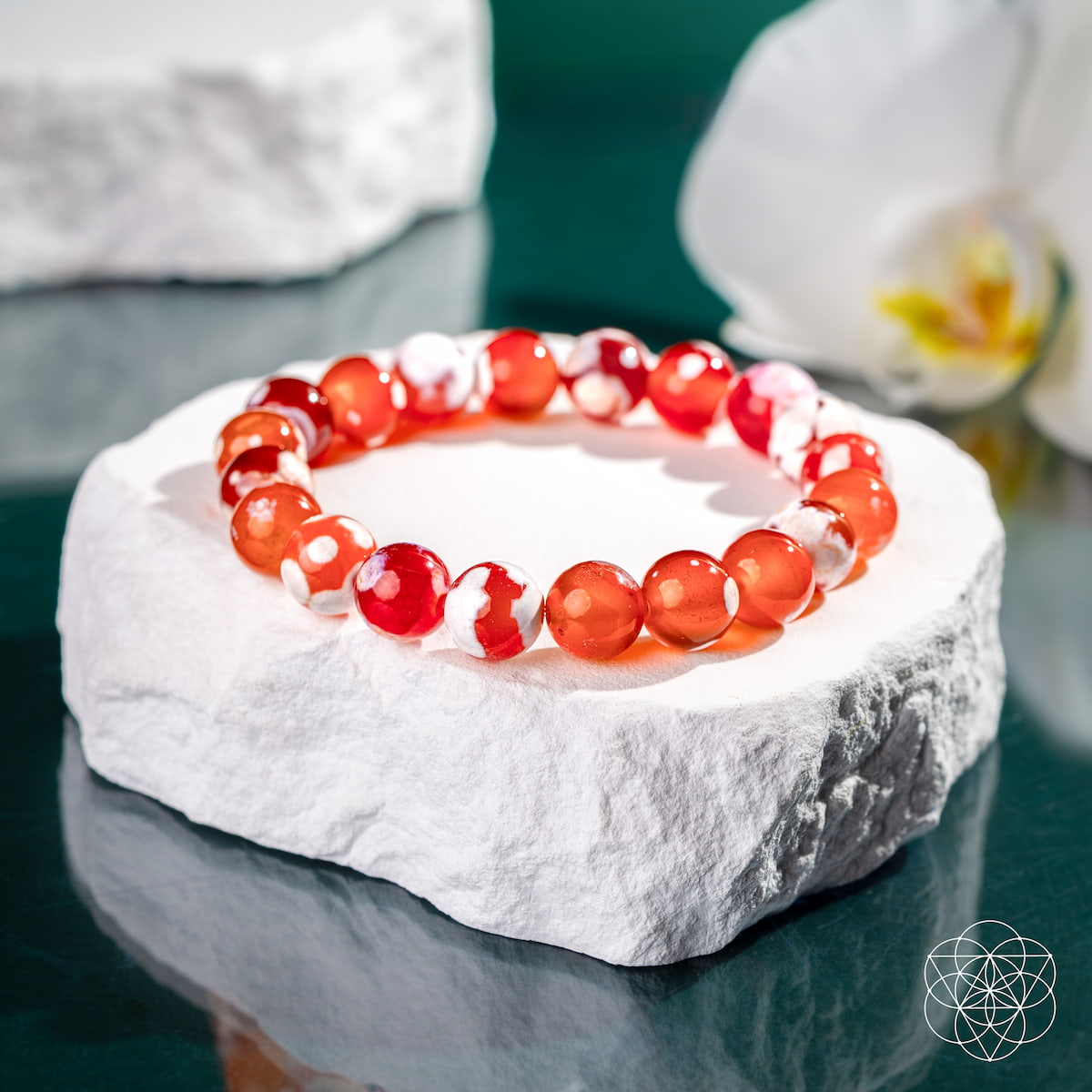 Feminine Force – Carnelian Orca Agate Bracelet | Bracelet | Wiccan Center