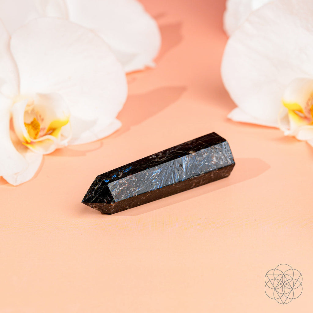 This Is Your Breakthrough – Rare Arfvedsonite Point | Home Decoration | Wiccan Center