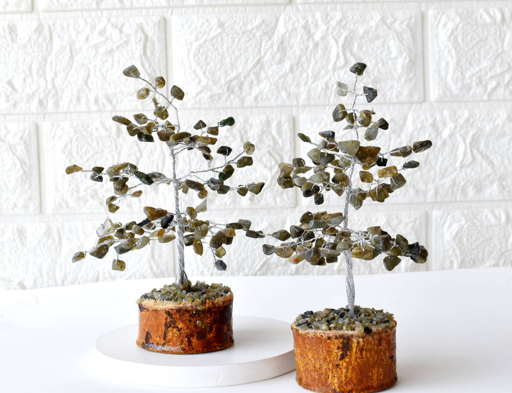 Labradorite Crystal Tree (Expanded Awareness and Intuition) | | Wiccan Center