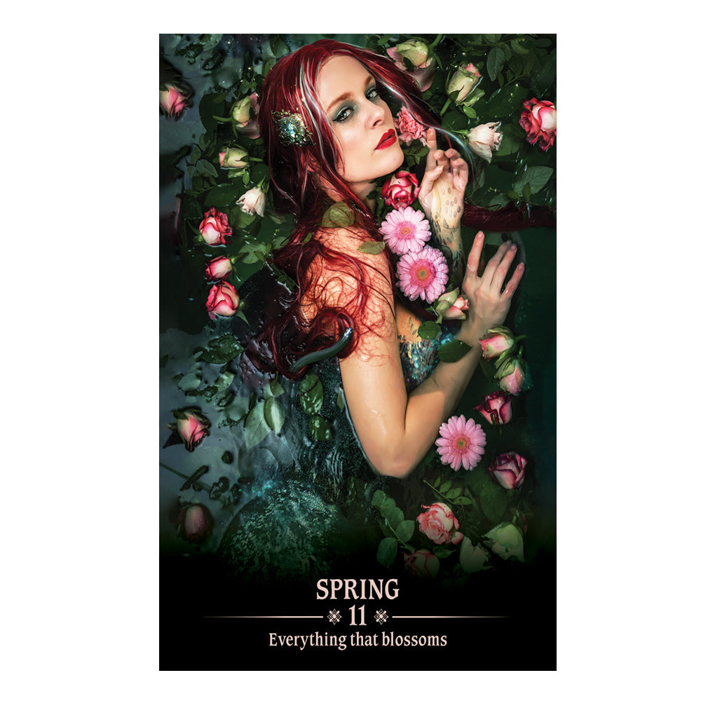 Dark Light Oracle Deck | Tarot Cards | Wiccan Center
