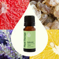Plant Therapy Defender Essential Oil 10 Ml