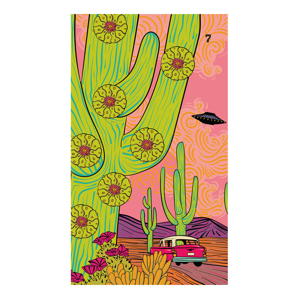 Desert Illuminations Tarot | Tarot Cards | Wiccan Center