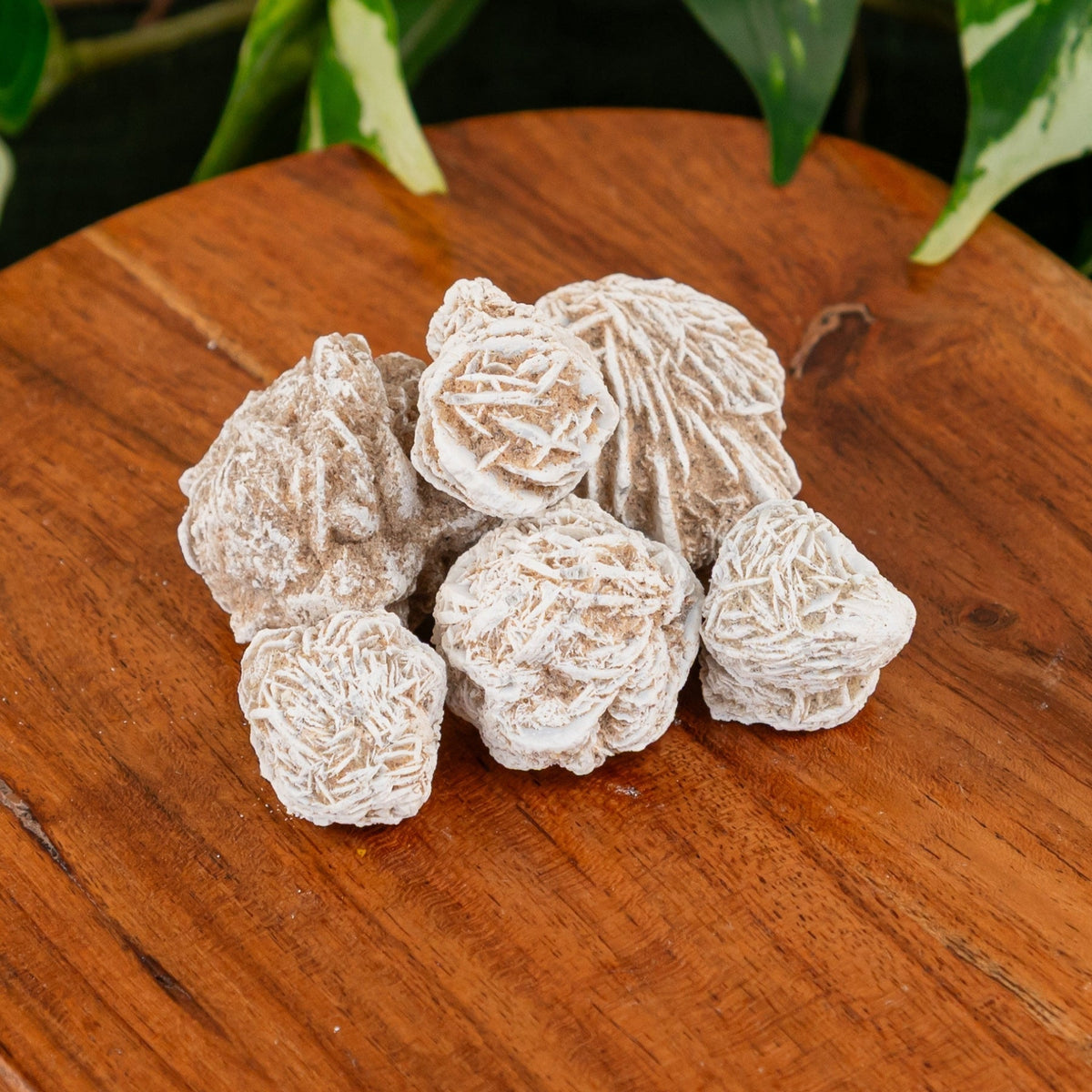 Desert Rose 1lb | Crystals | Wiccan Center