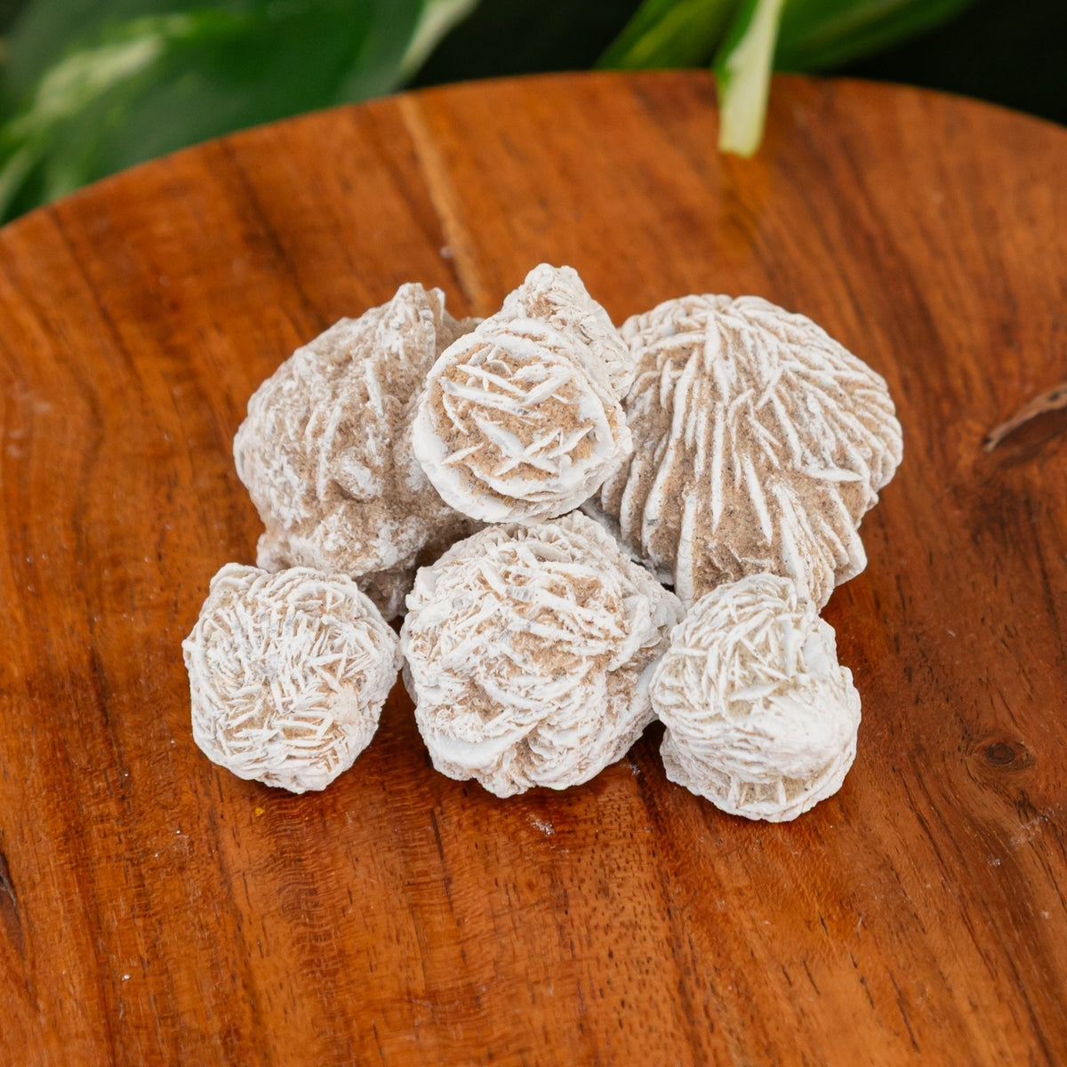 Desert Rose | Crystals | Wiccan Center