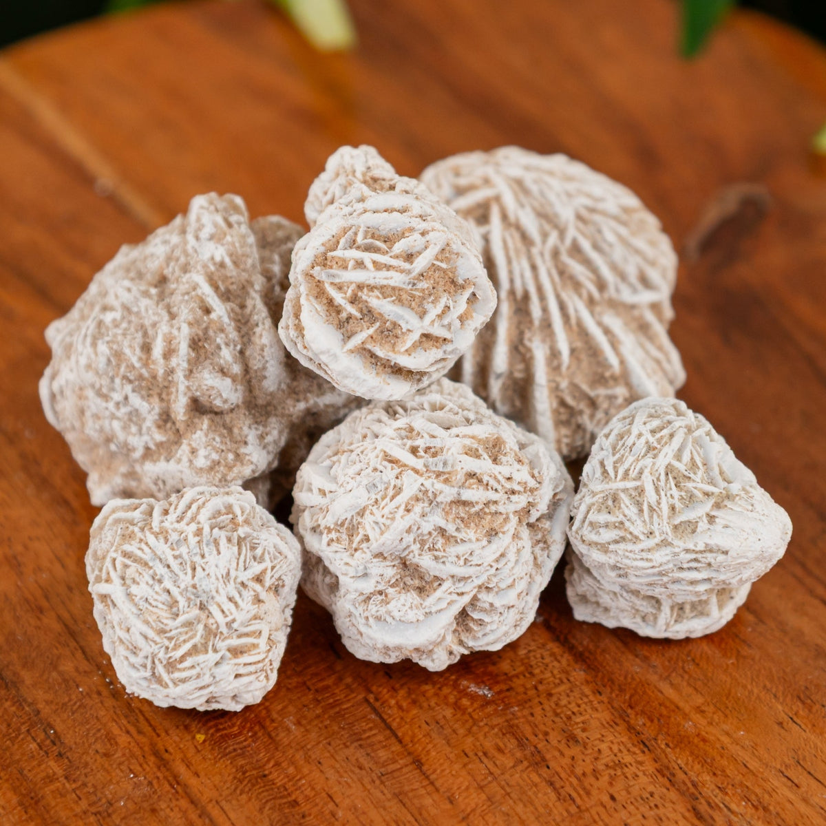 Desert Rose 1lb | Crystals | Wiccan Center