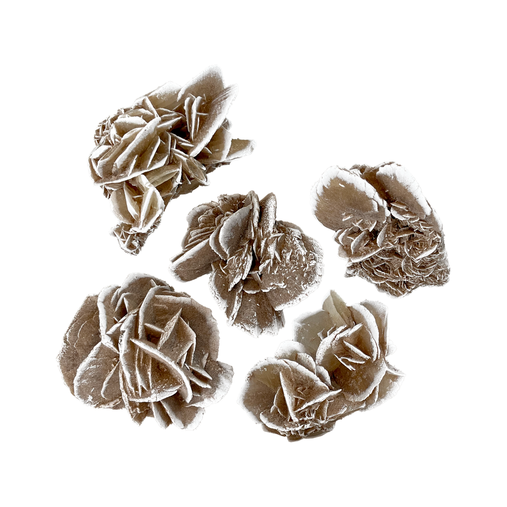Desert Rose Selenite Cluster - Small