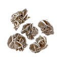 Desert Rose Selenite Cluster - Small