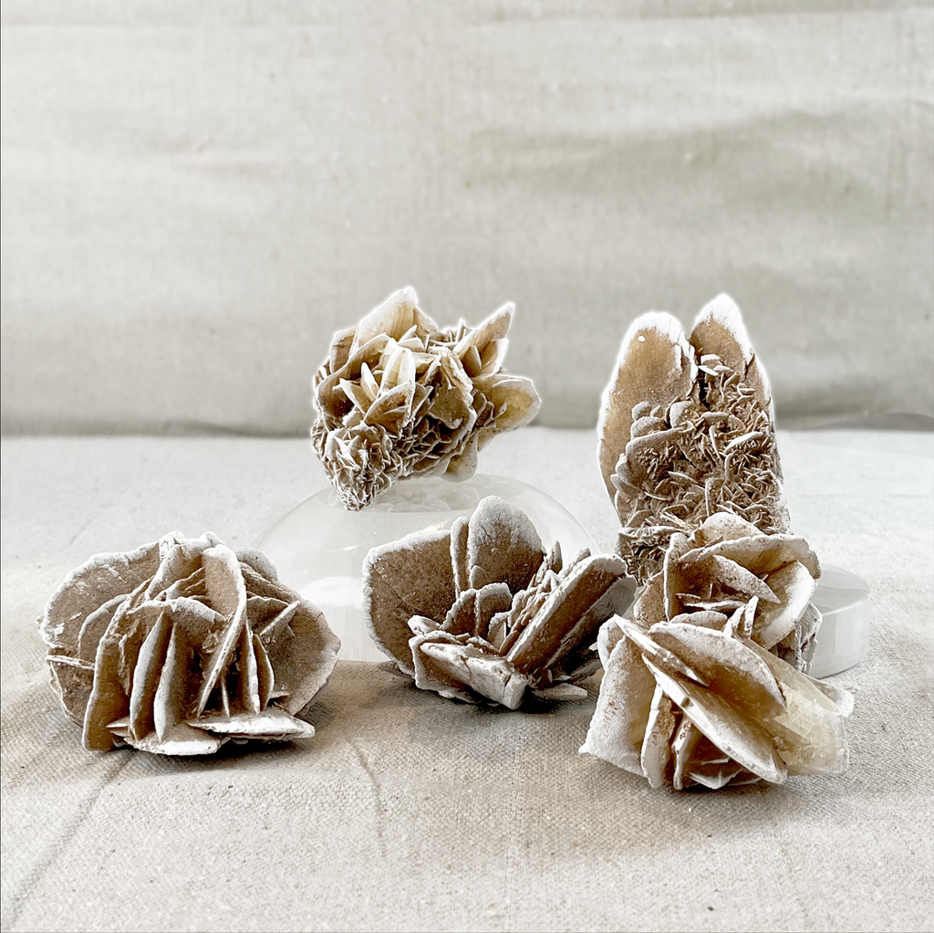 Desert Rose Selenite Cluster - Small