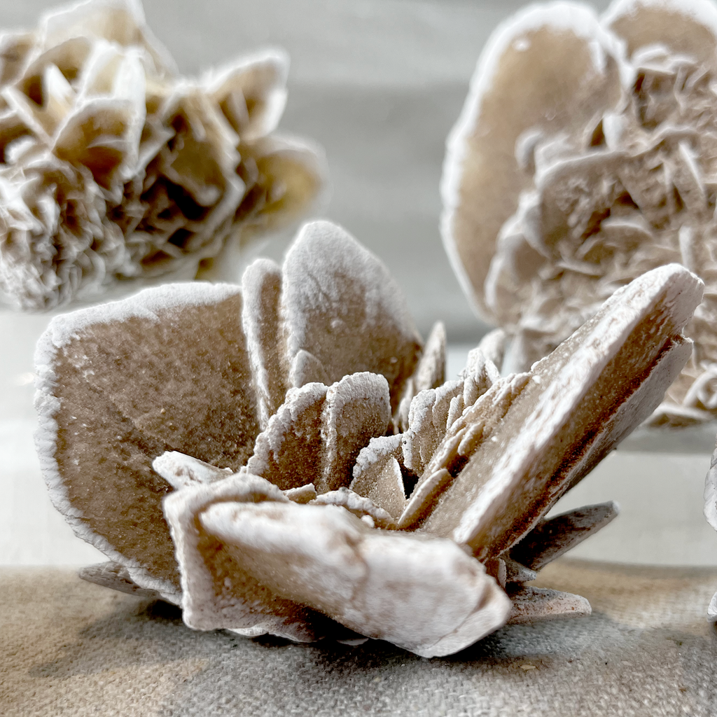 Desert Rose Selenite Cluster - Small