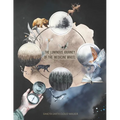 The Luminous Journey of the Medicine Wheel: Celtic and Indigenous Perspectives - Paperback | Books | Wiccan Center