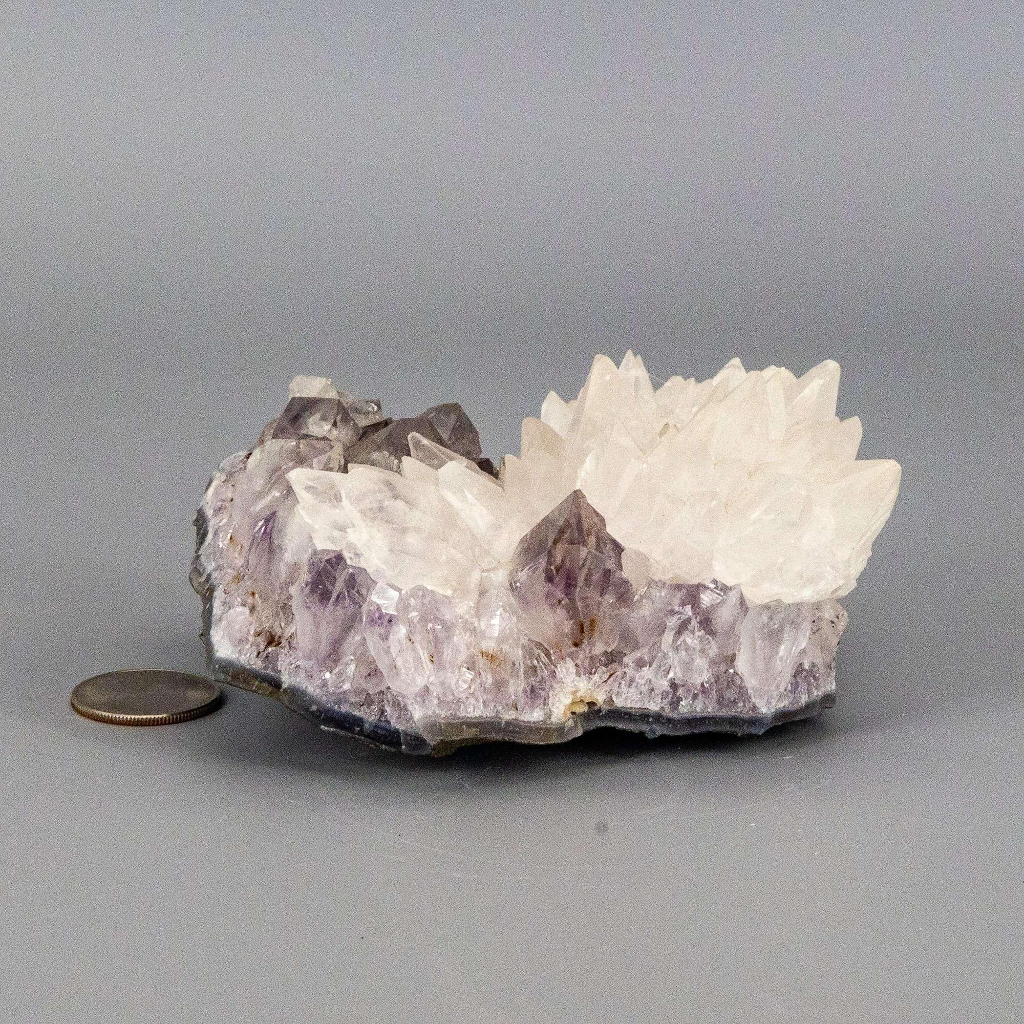 Dogtooth Calcite "Flower" Amethyst Cluster