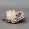 Dogtooth Calcite "Flower" Amethyst Cluster