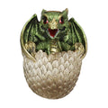 Dragon Hatchling Backflow Incense Burner | Incense Burner | Wiccan Center