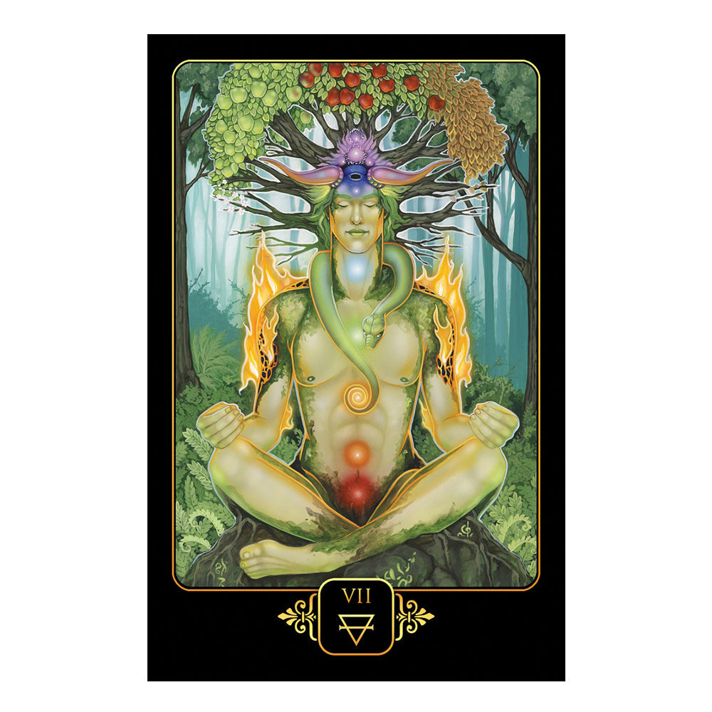 Dreams of Gaia Tarot | Tarot Cards | Wiccan Center