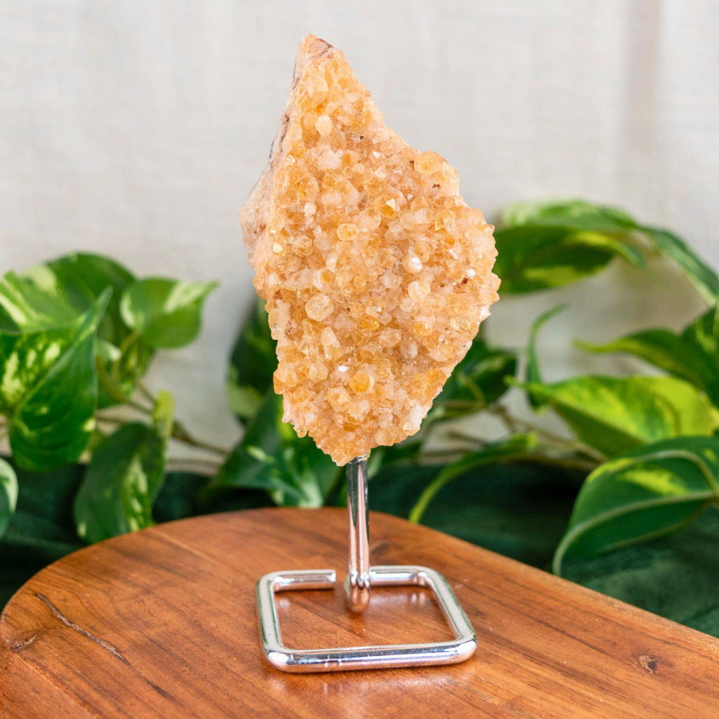 Druze Citrine on Stand | | Wiccan Center