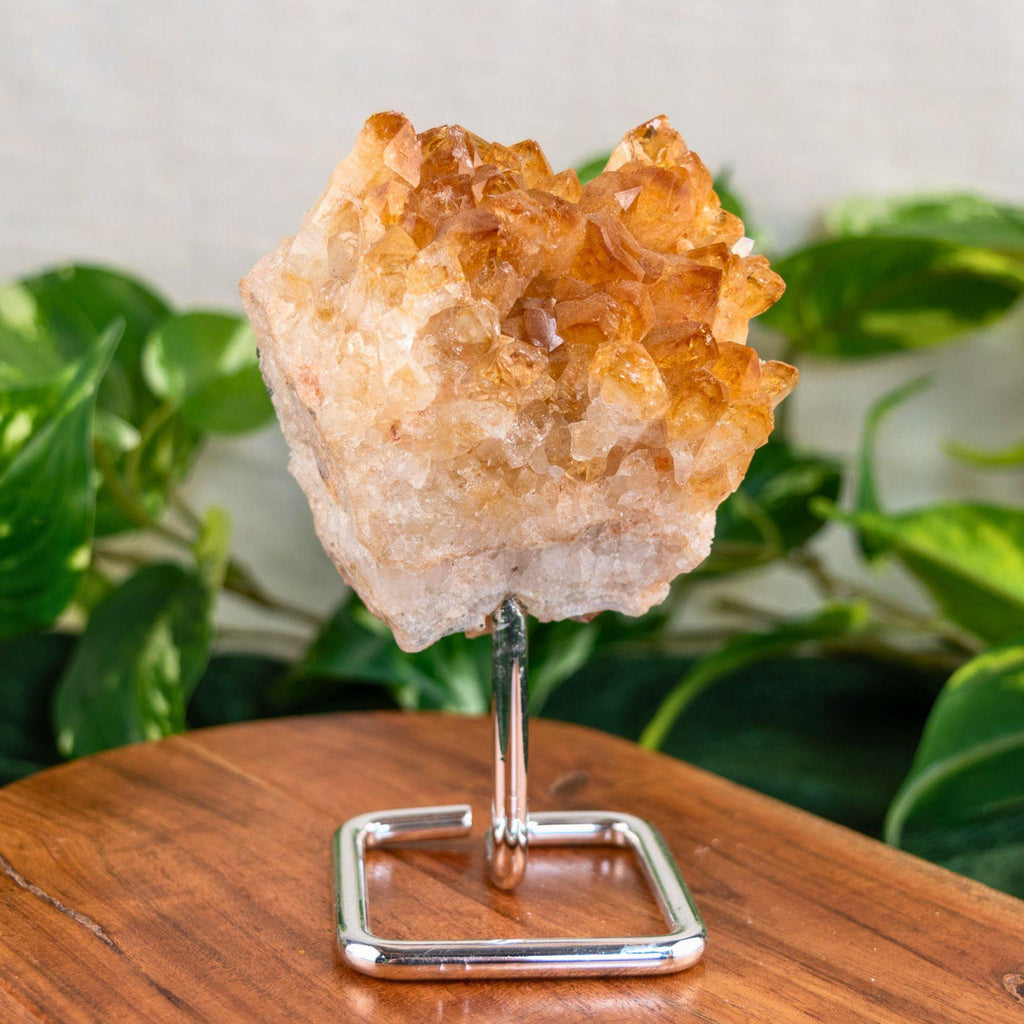 Druze Citrine on Stand | | Wiccan Center