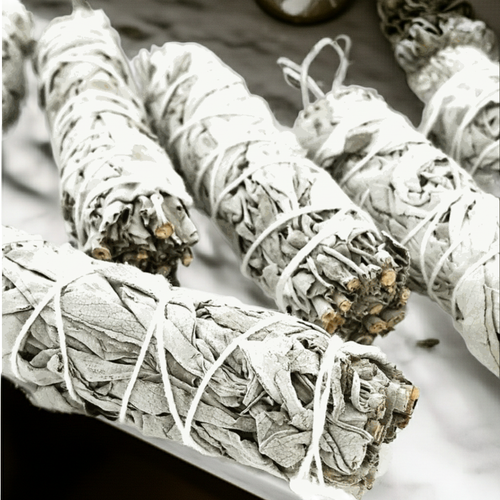 6 pack of white sage bundles | | Wiccan Center