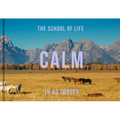 Calm in 40 Images: The Art of Finding Serenity - Hardcover