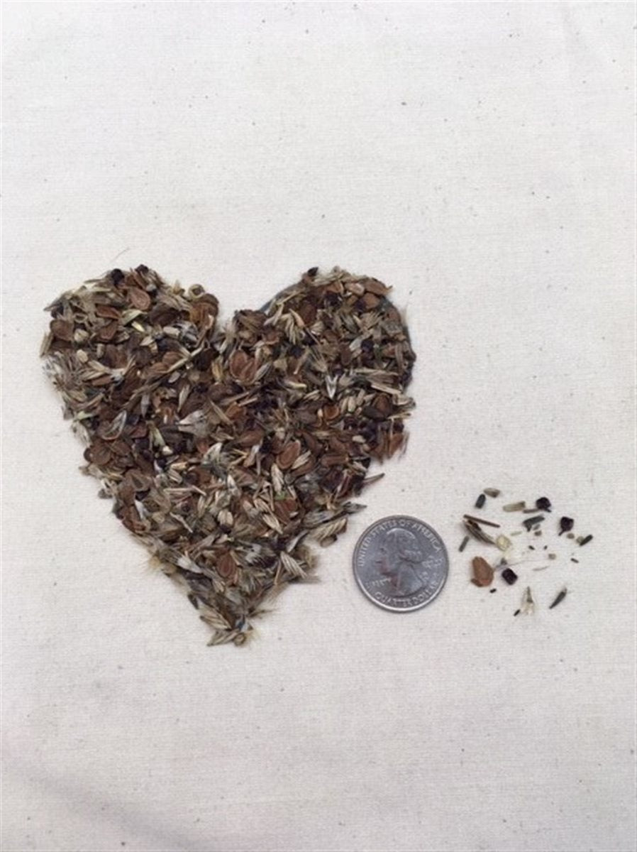 Monarch Meadow Native Mix | | Wiccan Center