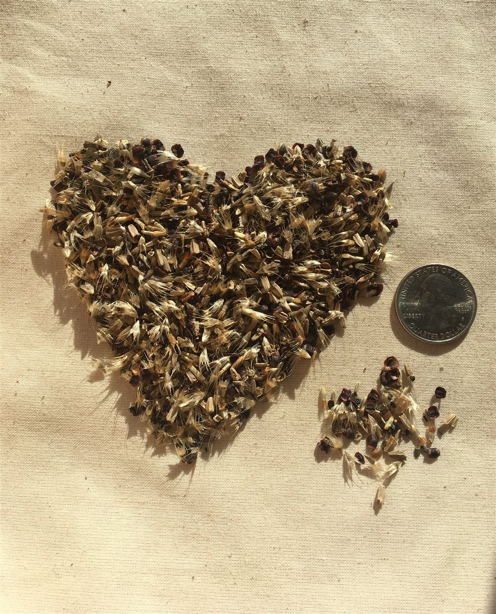 Shady Native Wildflower Mix | | Wiccan Center