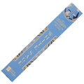 ElySian Essential Oil Incense Sticks - White Sage | Incense | Wiccan Center