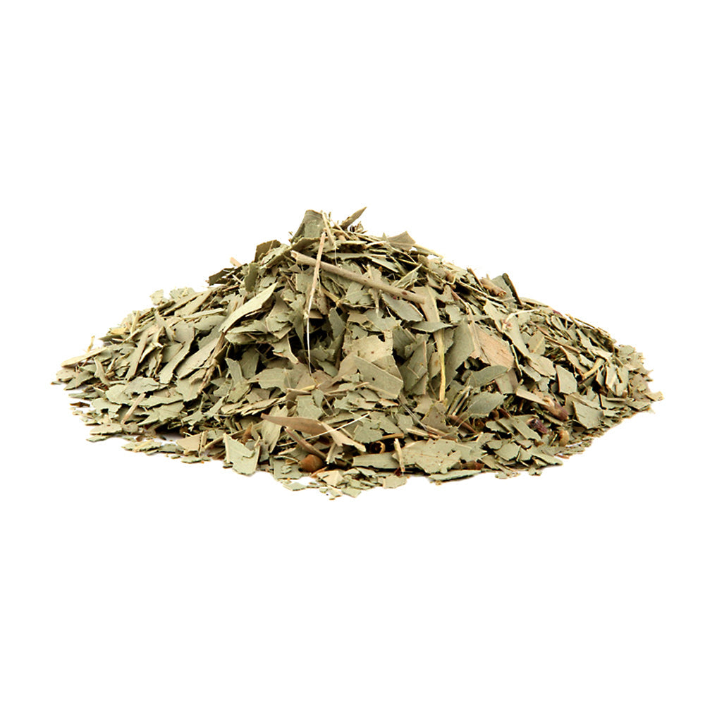Eucalyptus Leaf - Cut Herbs 1oz | Herbs | Wiccan Center