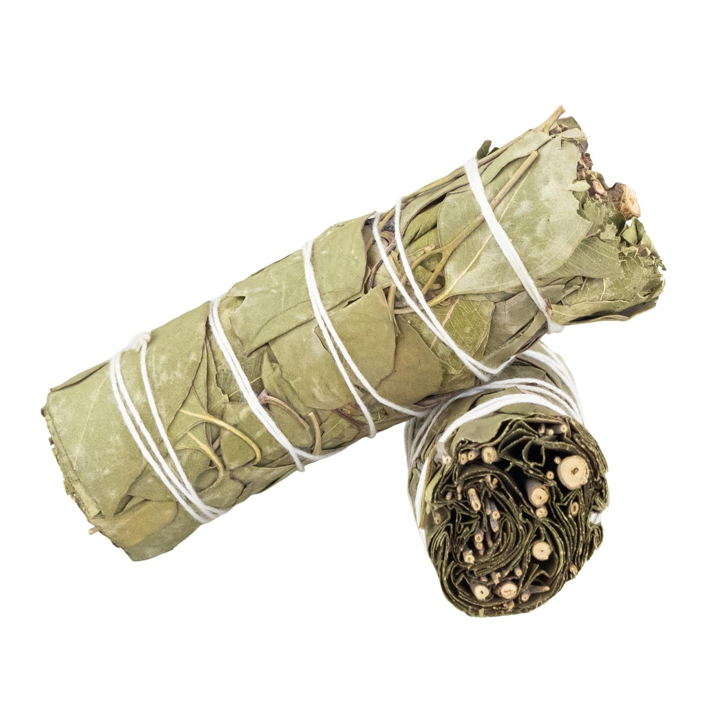 Eucalyptus Smudge Stick | Incense | Wiccan Center
