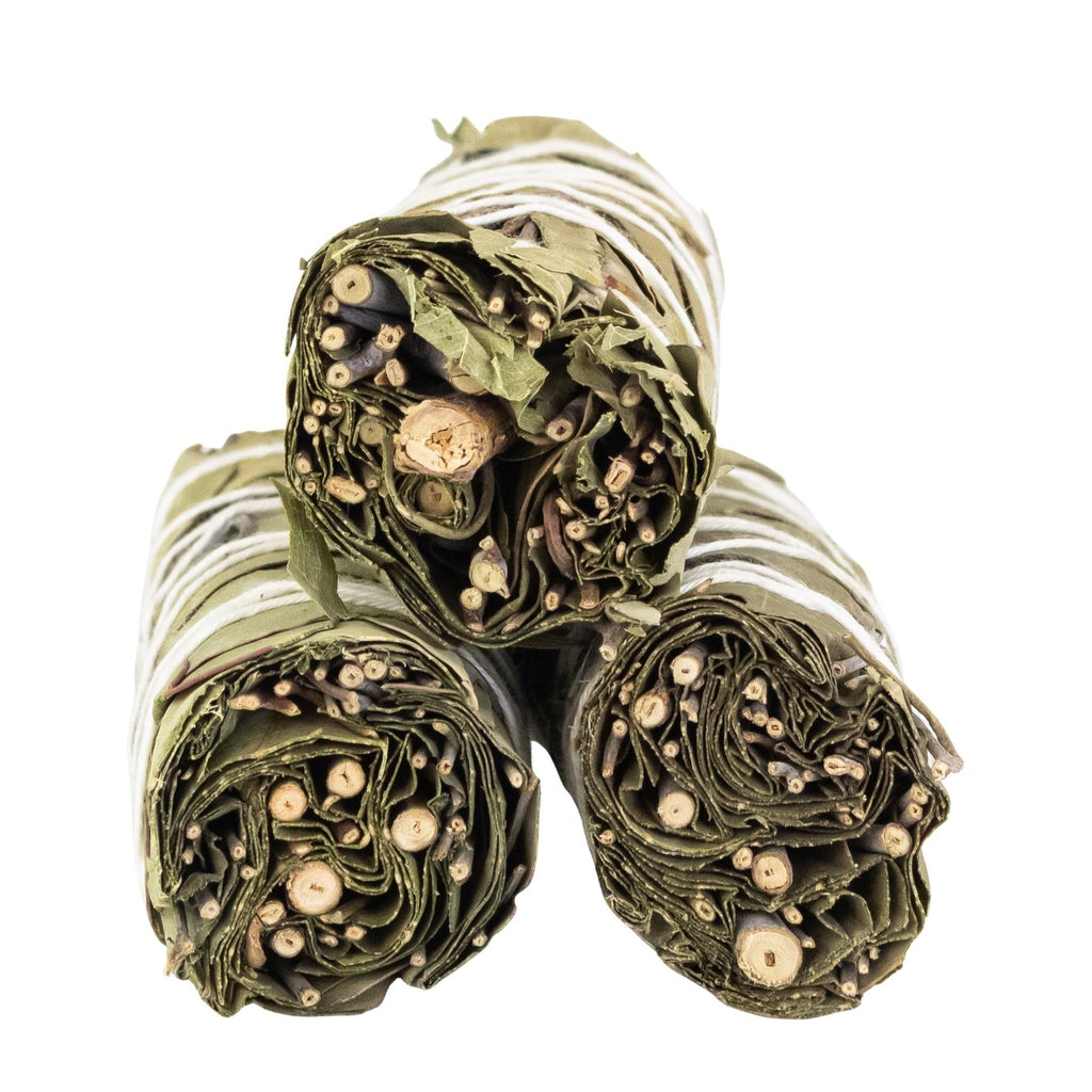 Eucalyptus Smudge Stick | Incense | Wiccan Center