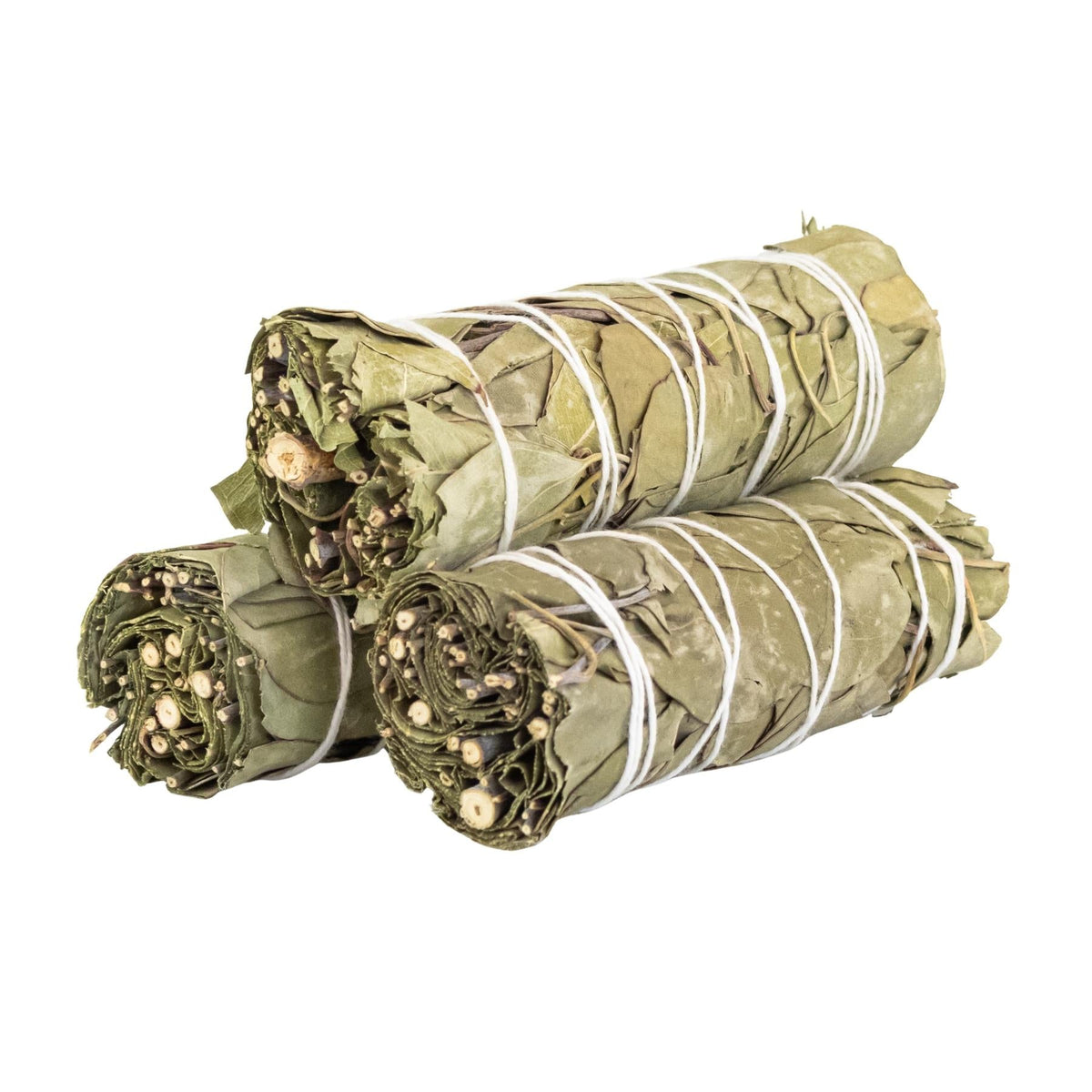 Eucalyptus Smudge Stick | Incense | Wiccan Center
