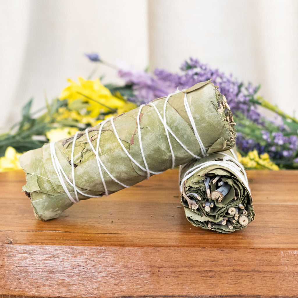 Eucalyptus Smudge Stick | Incense | Wiccan Center